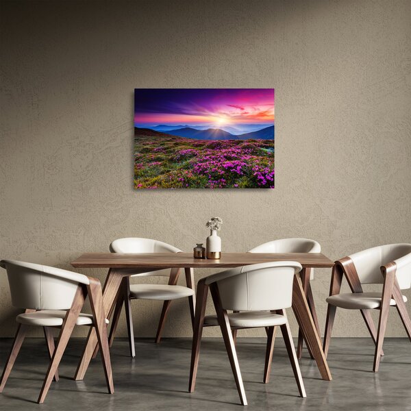 Skleněný obraz - Horská rozkvetlá krajina (70x50 cm)