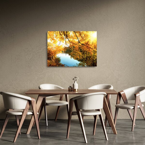 Skleněný obraz - Podzimní strom (70x50 cm)
