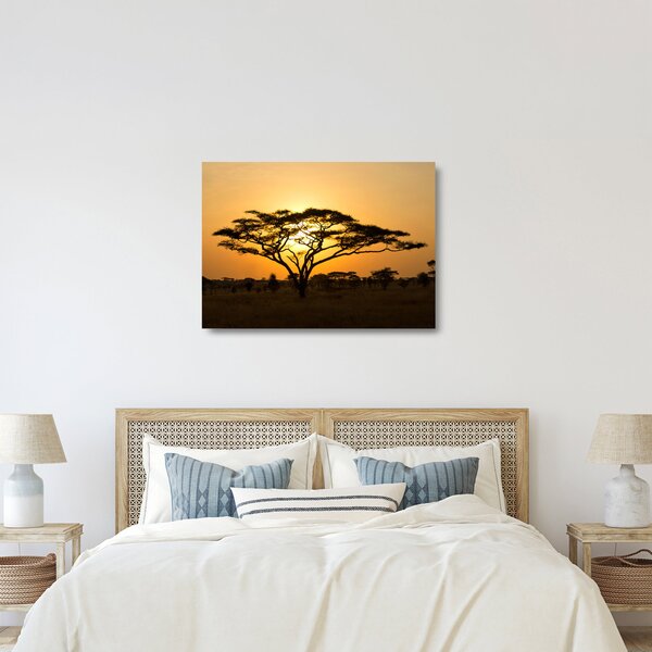 Skleněný obraz - Africká savana (70x50 cm)