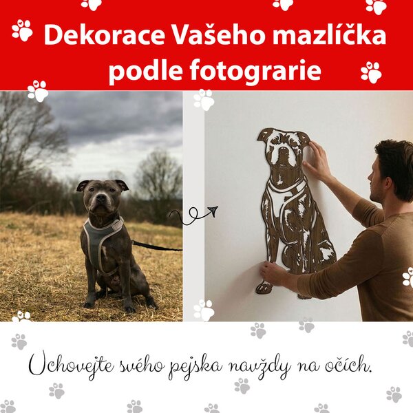 Dřevěná dekorace pejska z vaší fotografie Zvolte barvu dekoru: Ořech | Delší strana: 40