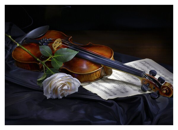 Skleněný obraz - Růže a housle (70x50 cm)