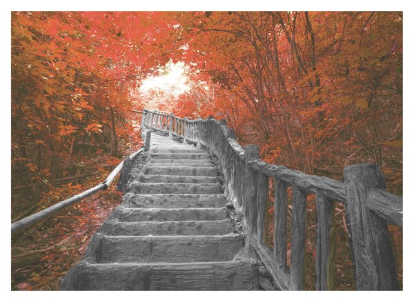 Skleněný obraz - Schody v přírodě, oranžová (70x50 cm)