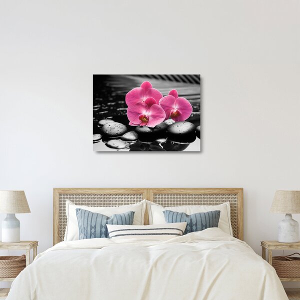 Skleněný obraz - Růžové orchideje (70x50 cm)