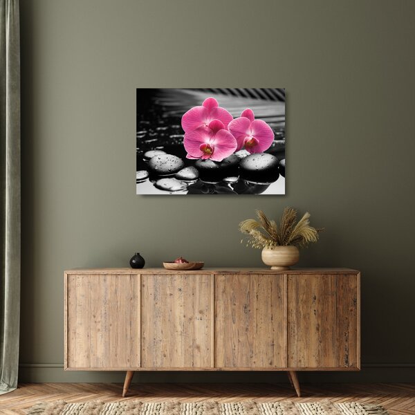 Skleněný obraz - Růžové orchideje (70x50 cm)