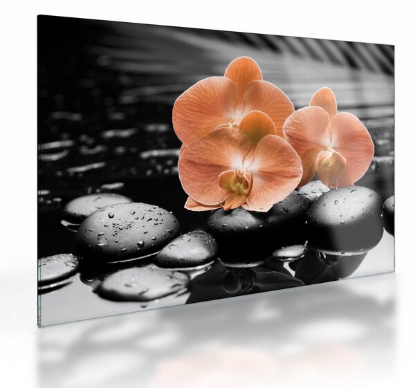 Skleněný obraz - Oranžové orchideje (70x50 cm)