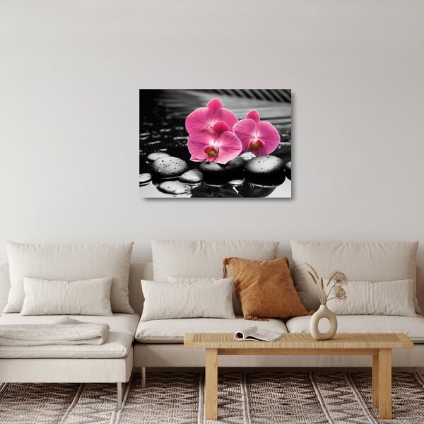 Skleněný obraz - Růžové orchideje (70x50 cm)