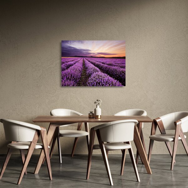 Skleněný obraz - Levandulové pole při západu slunce (70x50 cm)