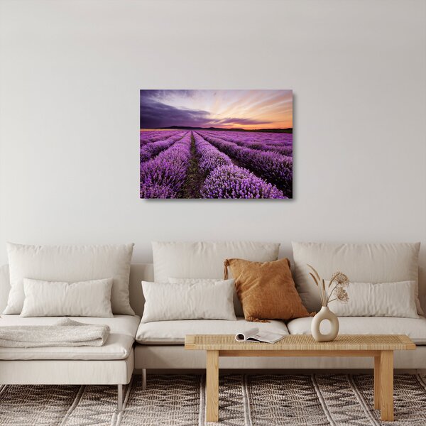 Skleněný obraz - Levandulové pole při západu slunce (70x50 cm)