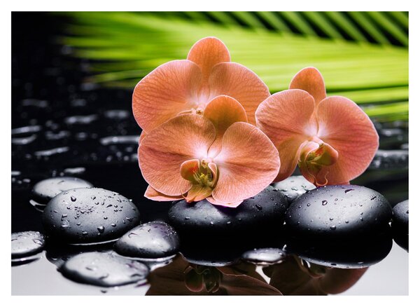 Skleněný obraz - Oranžová orchidej s palmovými listy (70x50 cm)