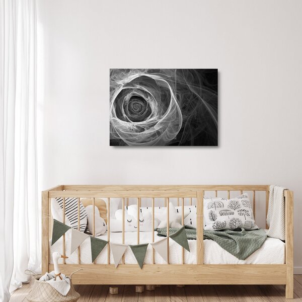 Skleněný obraz - Abstraktní růže černobílá (70x50 cm)