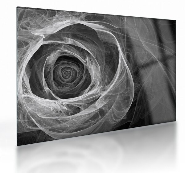 Skleněný obraz - Abstraktní růže černobílá (70x50 cm)