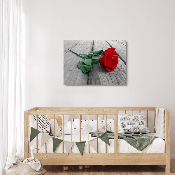 Skleněný obraz - Červená růže se zeleným stonkem (70x50 cm)