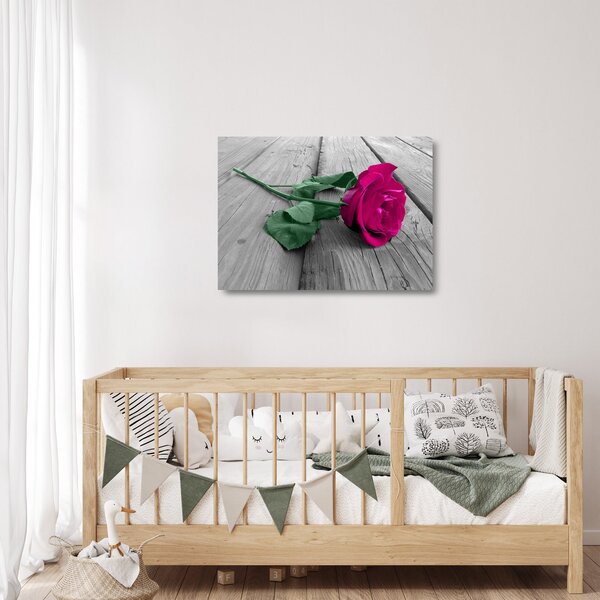 Skleněný obraz - Růžová růže se zeleným stonkem (70x50 cm)