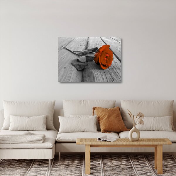 Skleněný obraz - Oranžová růže (70x50 cm)