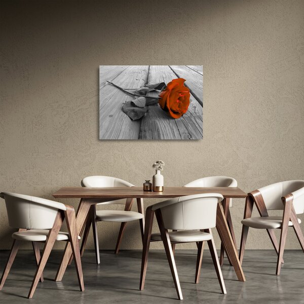 Skleněný obraz - Oranžová růže (70x50 cm)