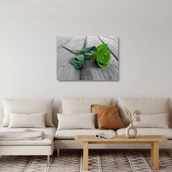 Skleněný obraz - Zelená růže (70x50 cm)