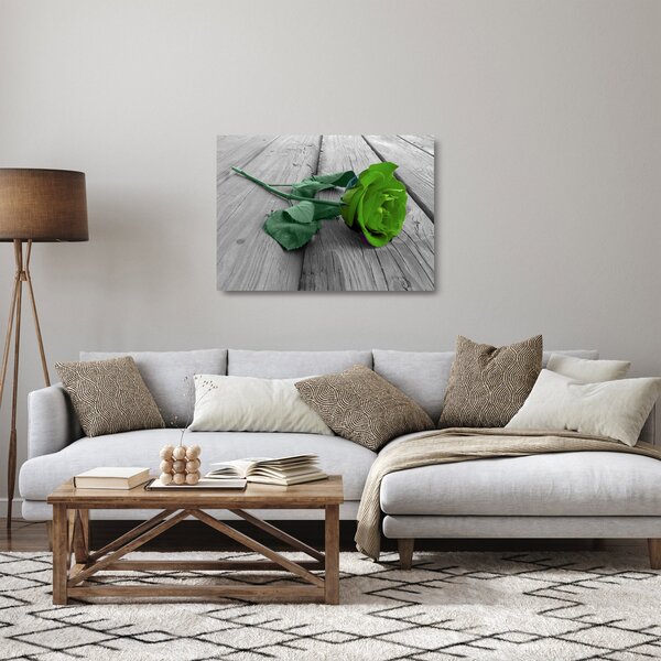 Skleněný obraz - Zelená růže (70x50 cm)