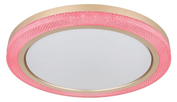 Globo 41372-24 - LED RGBW Stmívatelné stropní svítidlo BOLLY LED/20W/230V + DO