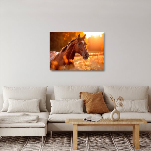 Skleněný obraz - Kůň v západu slunce (70x50 cm)