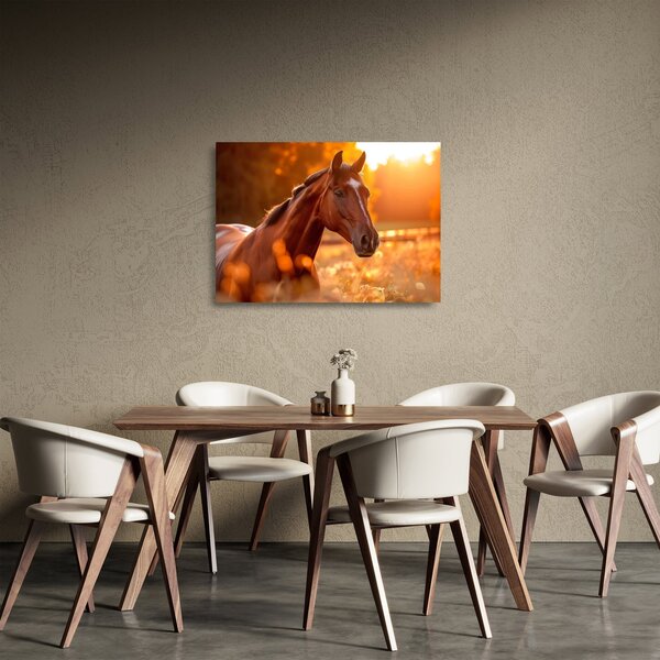 Skleněný obraz - Kůň v západu slunce (70x50 cm)
