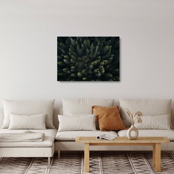 Skleněný obraz - Les (70x50 cm)