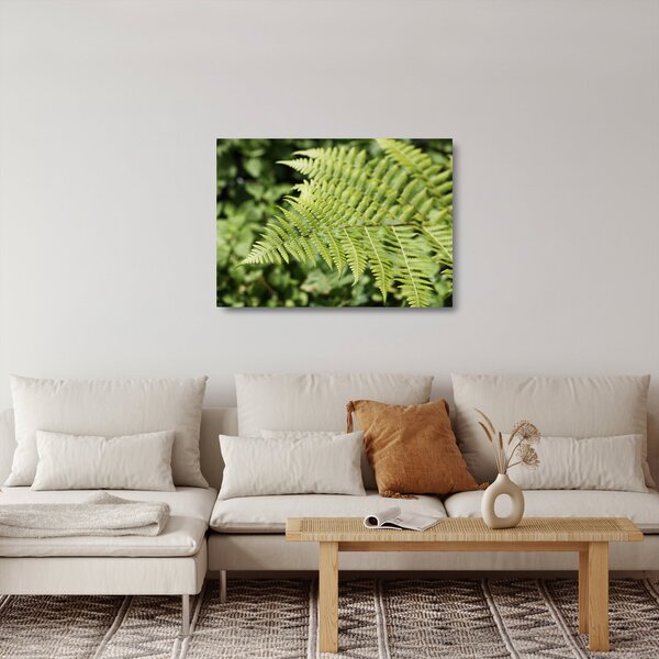 Skleněný obraz - Kapradinový list (70x50 cm)