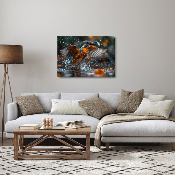 Skleněný obraz - Ledňáček (70x50 cm)