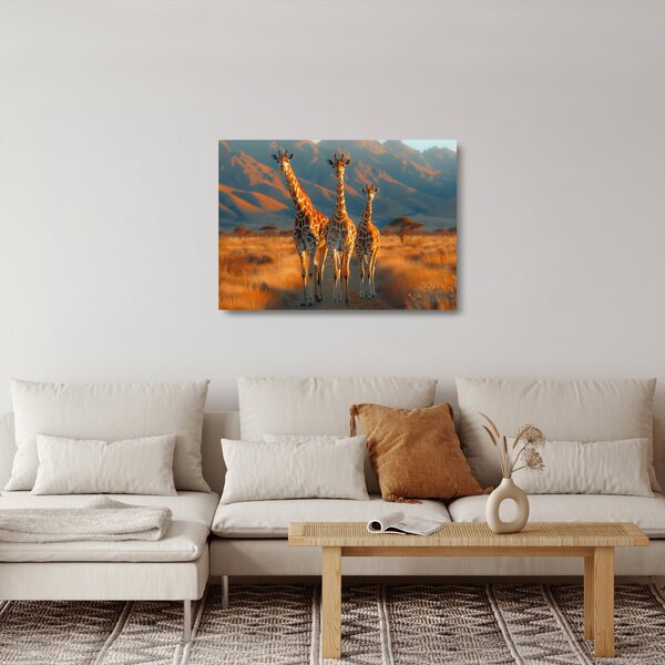 Skleněný obraz - Žirafy na pastvině (70x50 cm)