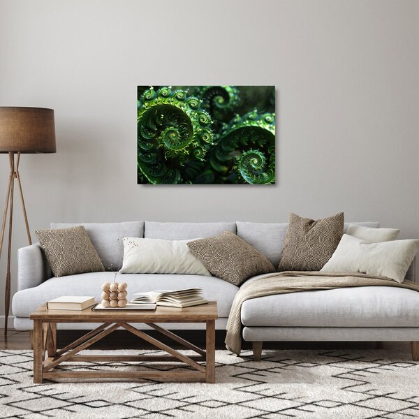 Skleněný obraz - Spirály (70x50 cm)