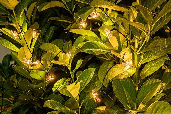 Rabalux BOBUS LED solární lampa 77002