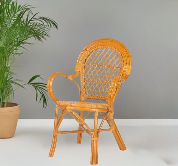 RattaNeo Coral k46 židle koňak Rattan Přírodní