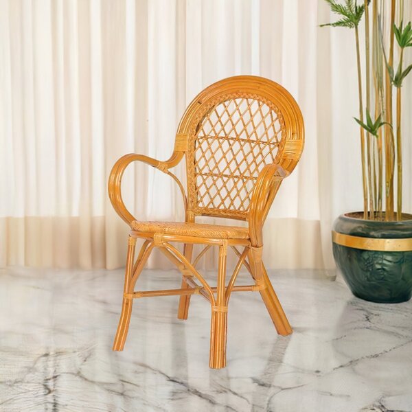 RattaNeo Coral k46 židle koňak Rattan Přírodní