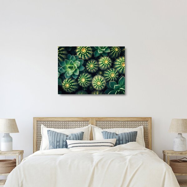 Skleněný obraz - Kaktusy (70x50 cm)