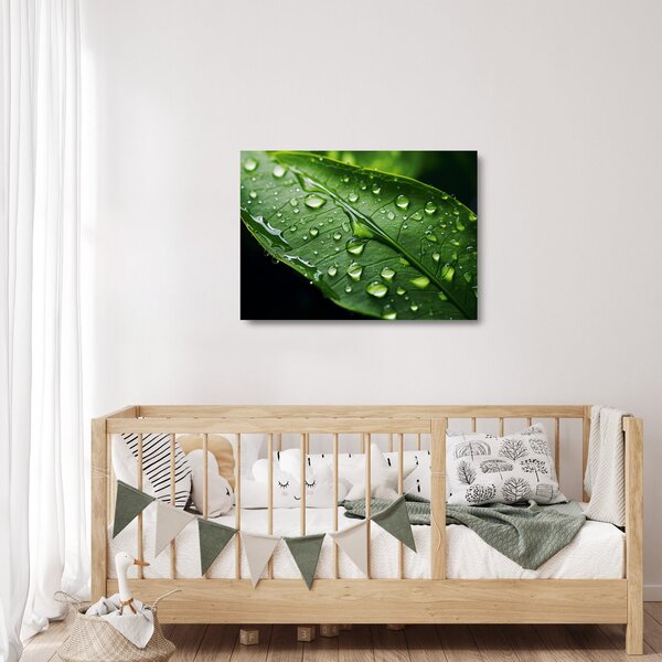 Skleněný obraz - List po dešti (70x50 cm)
