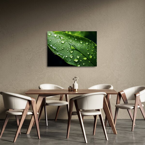 Skleněný obraz - List po dešti (70x50 cm)