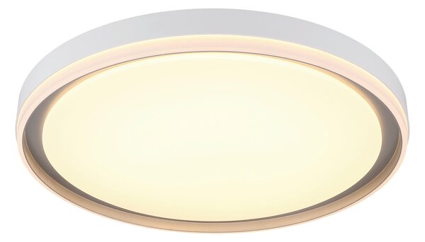 STROPNÍ LED SVÍTIDLO, 50/8 cm Globo - Online Only svítidla, Online Only