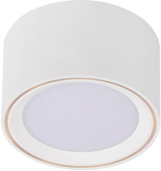 Nordlux Fallon stropní světlo 1x5.5 W bílá 47540101