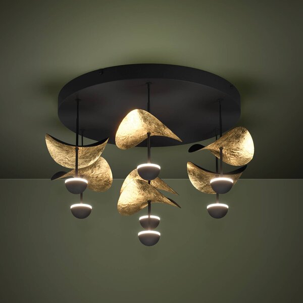 Stars of Light LED stropní svítidlo Dracera, černé/zlaté, Ø 51 cm, stmívatelný, Černá, Obývací pokoj / jídelna, kov, Moderní