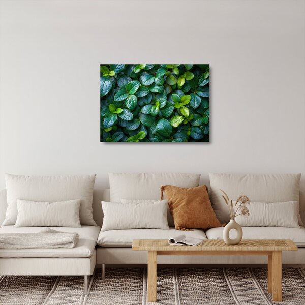 Skleněný obraz - Zelené rostliny (70x50 cm)