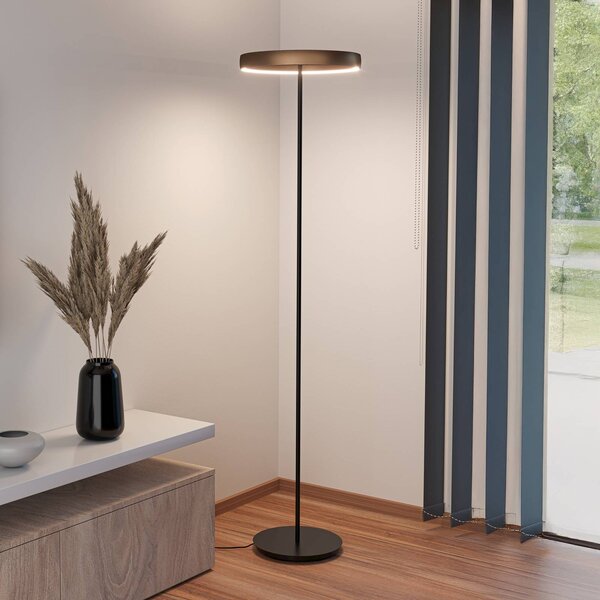 Stars of Light LED stojací lampa Trabuco, černá/hnědá, 175 cm, stmívatelný, Hnědá / rez, Obývací pokoj / jídelna, Hliník, Moderní