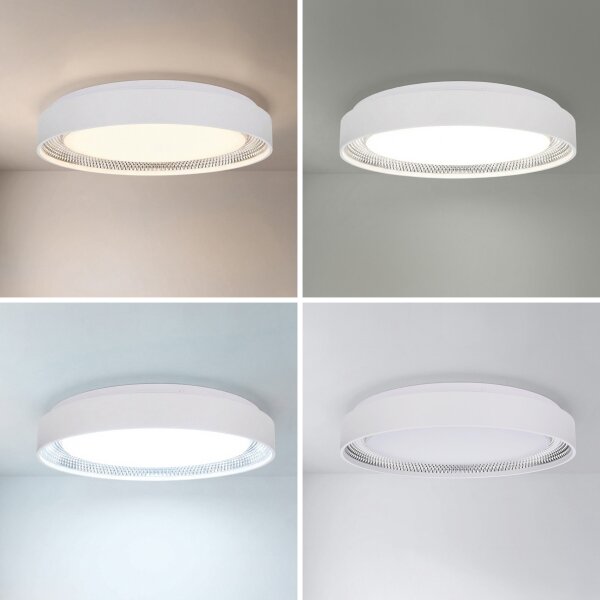 Brilagi - LED Stmív. strop. svítidlo WALDO LED/48W/230V pr. 40 cm bílá/stříb.+DO