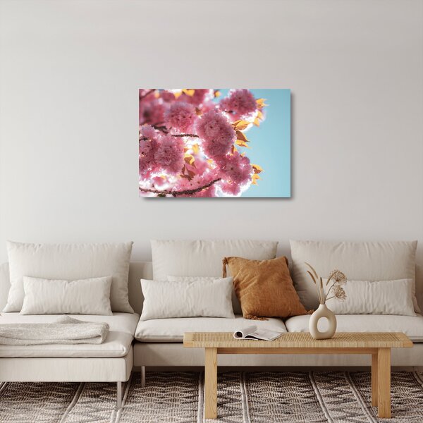 Skleněný obraz - Třešňový květ (70x50 cm)