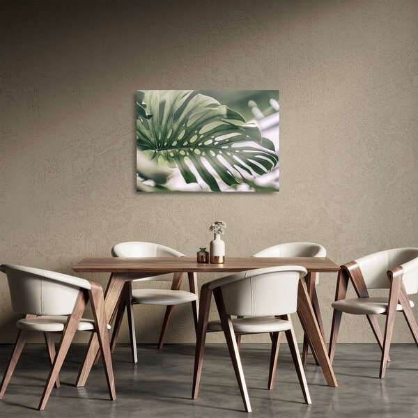 Skleněný obraz - List monstery (70x50 cm)