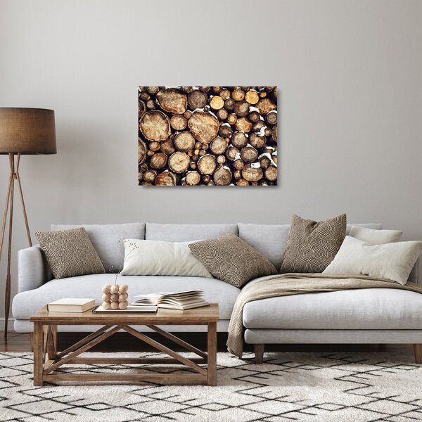 Skleněný obraz - Dřevo ve sněhu (70x50 cm)