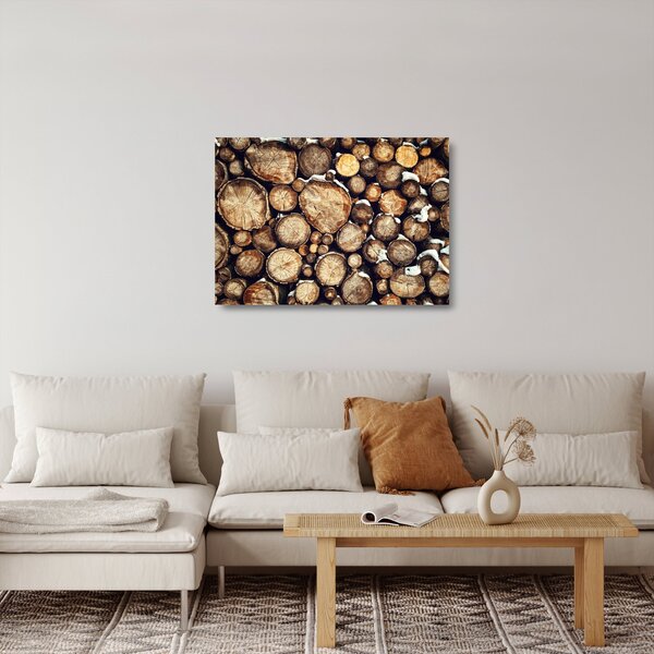 Skleněný obraz - Dřevo ve sněhu (70x50 cm)