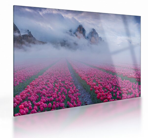 Skleněný obraz - Krajina s tulipánovými poli (70x50 cm)