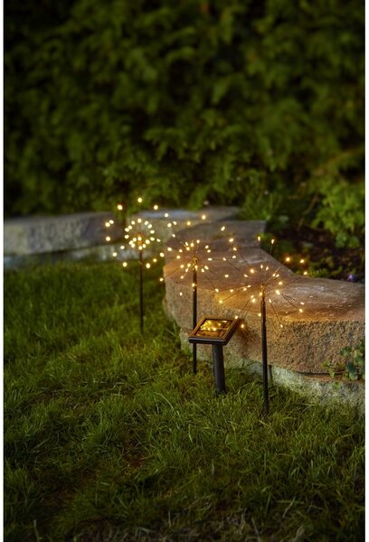LED zapichovací solární venkovní svítidla v sadě 3 ks (výška 40 cm) Firework – Star Trading