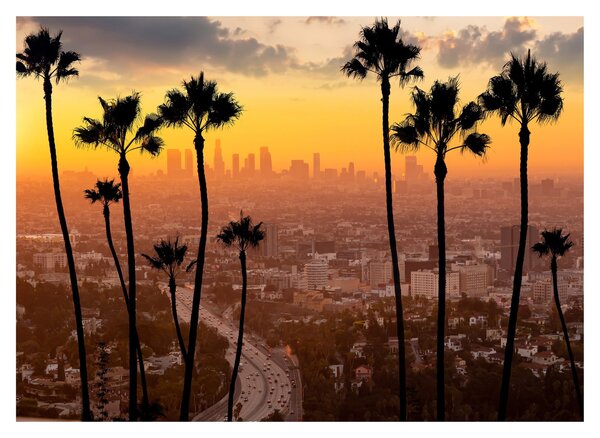 Skleněný obraz - Panorama Los Angeles (70x50 cm)