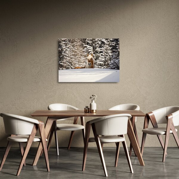 Skleněný obraz - Kůň v zimní krajině (70x50 cm)