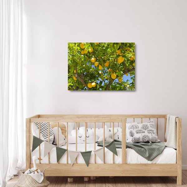 Skleněný obraz - Citrónovník (70x50 cm)